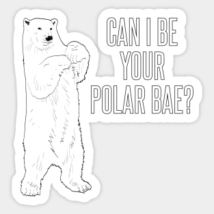 Polar bae Sticker